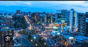 view of Addis Ababa city